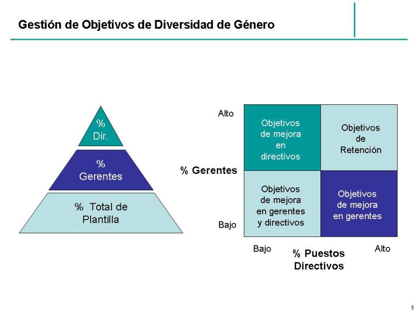 Objetivos de género Objetivos de género