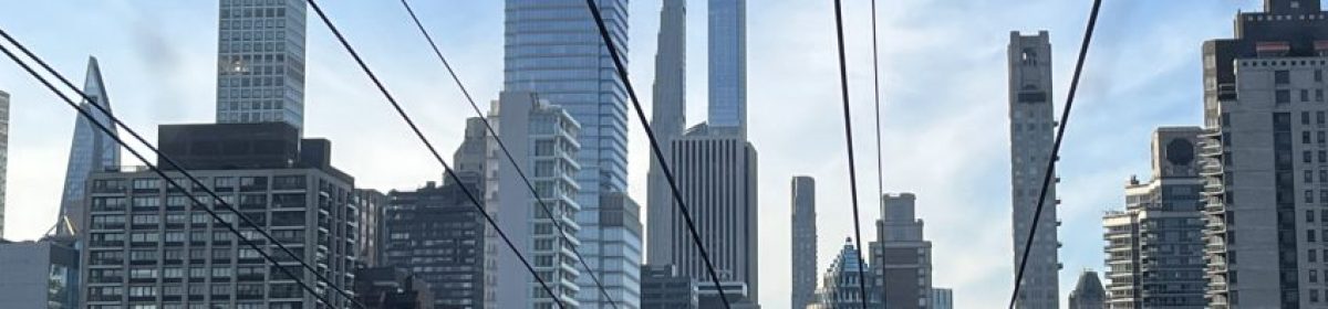 Diversidad Corporativa